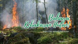 Melestarikan Hutan