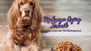Makanan Anjing Terbaik yang aman