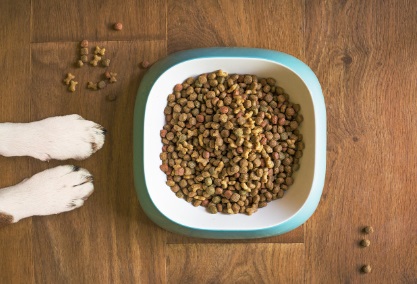 Makanan Anjing Terbaik - Chea Seed