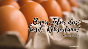 reksadana saham untuk bisnis telur