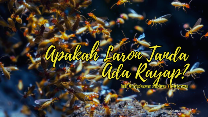 Laron tanda sarang rayap