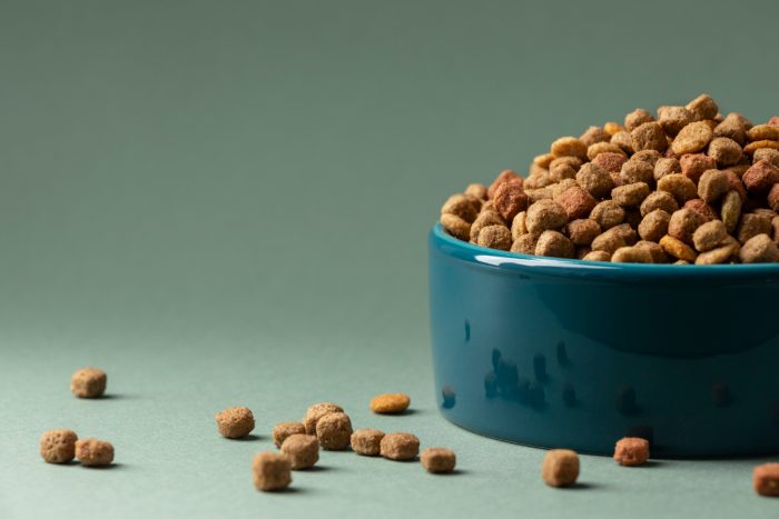 Cara memilih makanan kucing yang bagus untuk anabul kesayangan